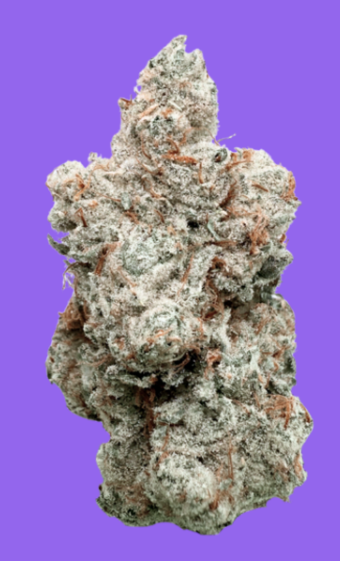 Photograph of product: Bliss Co Grape Cream Cake Flower (REC) - 3.5g