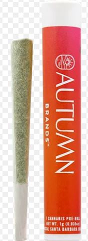 Photograph of product: 2PK/0.5G - JET FUEL [S] - 1 G