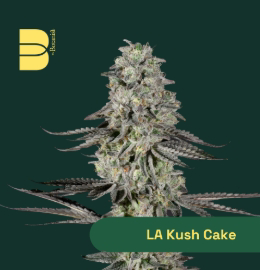 Photograph of product: LA Kush Cake - - The Botanist - 3.5g