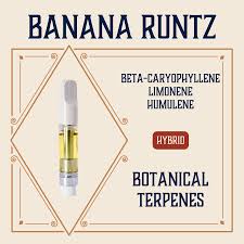 Photograph of product: Elevate | Distillate Vape | Banana Runtz 1g