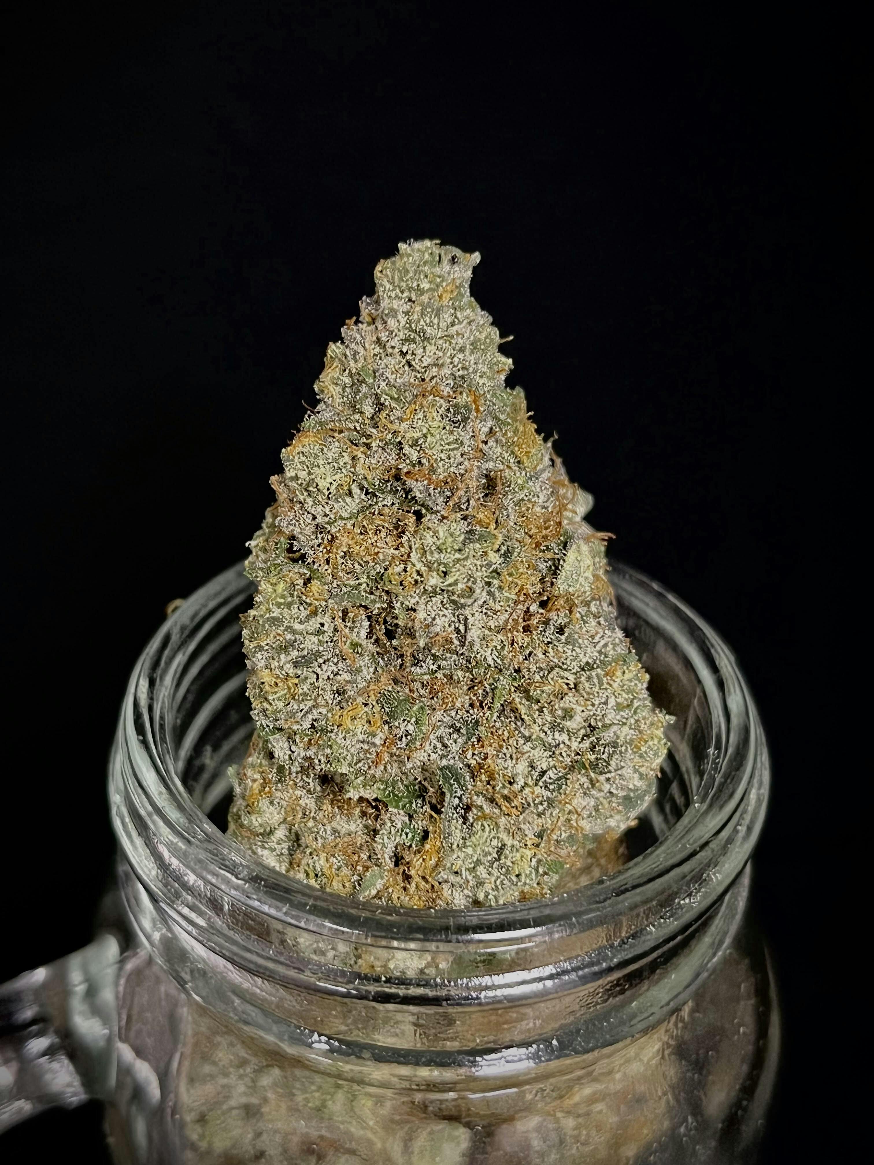 Photograph of product: Secret Sunset {Secret Sauce x Sunset Sherbet} (SPCY Canna) "CONNOISSEUR SHELF"
