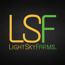 Photograph of product: Mandarin Butter 1g Live Rosin