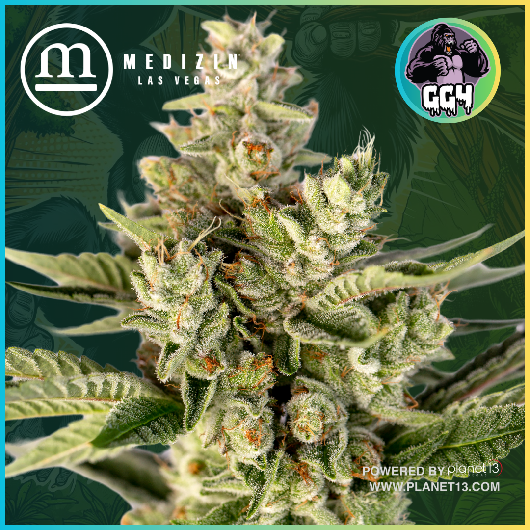 Photograph of product: GG4 3.5g Prepack