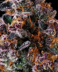 Photograph of product: NYC Vapor grown by Florentine Farm - 28g