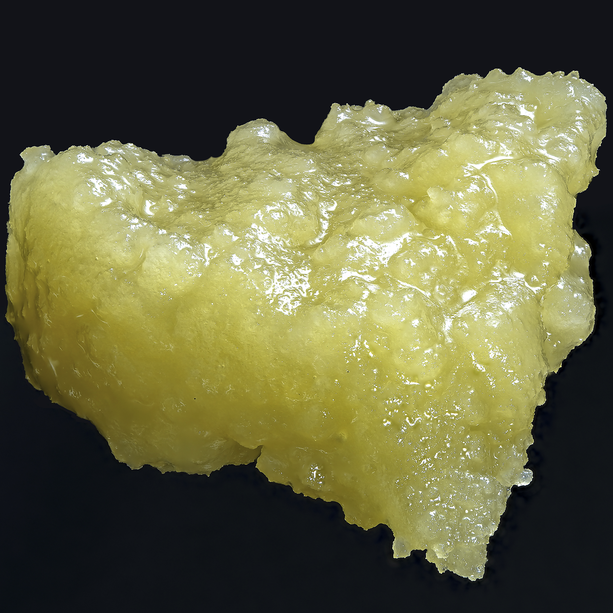 Photograph of product: 1G HEAD MOUNT LIVE ROSIN