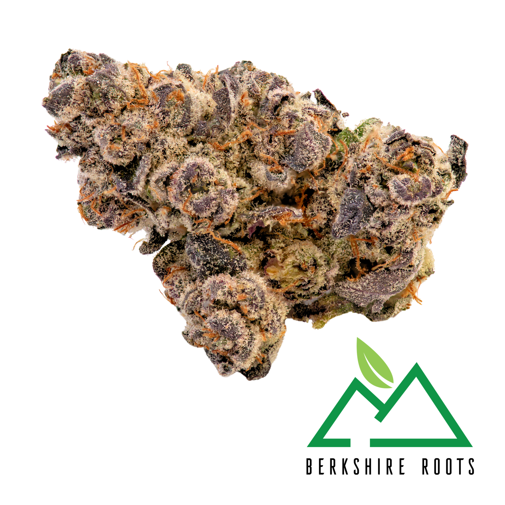 Photograph of product: Gorilla Noir | 3.5g