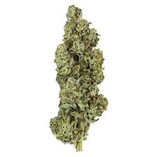 Photograph of Product: Molecular Farms | Chem #28 - Hybrid - 3.5g