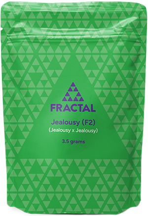 Photograph of product: Fractal | Jealousy Pre-Pack Flower - 3.5g