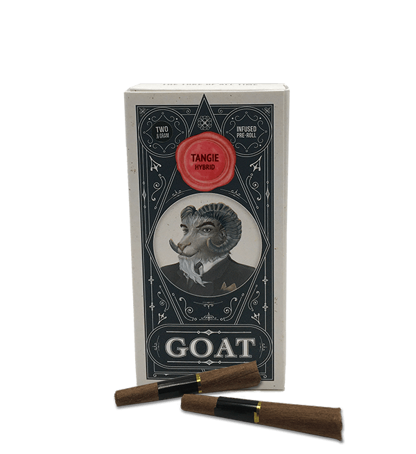 Photograph of product: Tangie | .6g 2pk Infused blunts - 