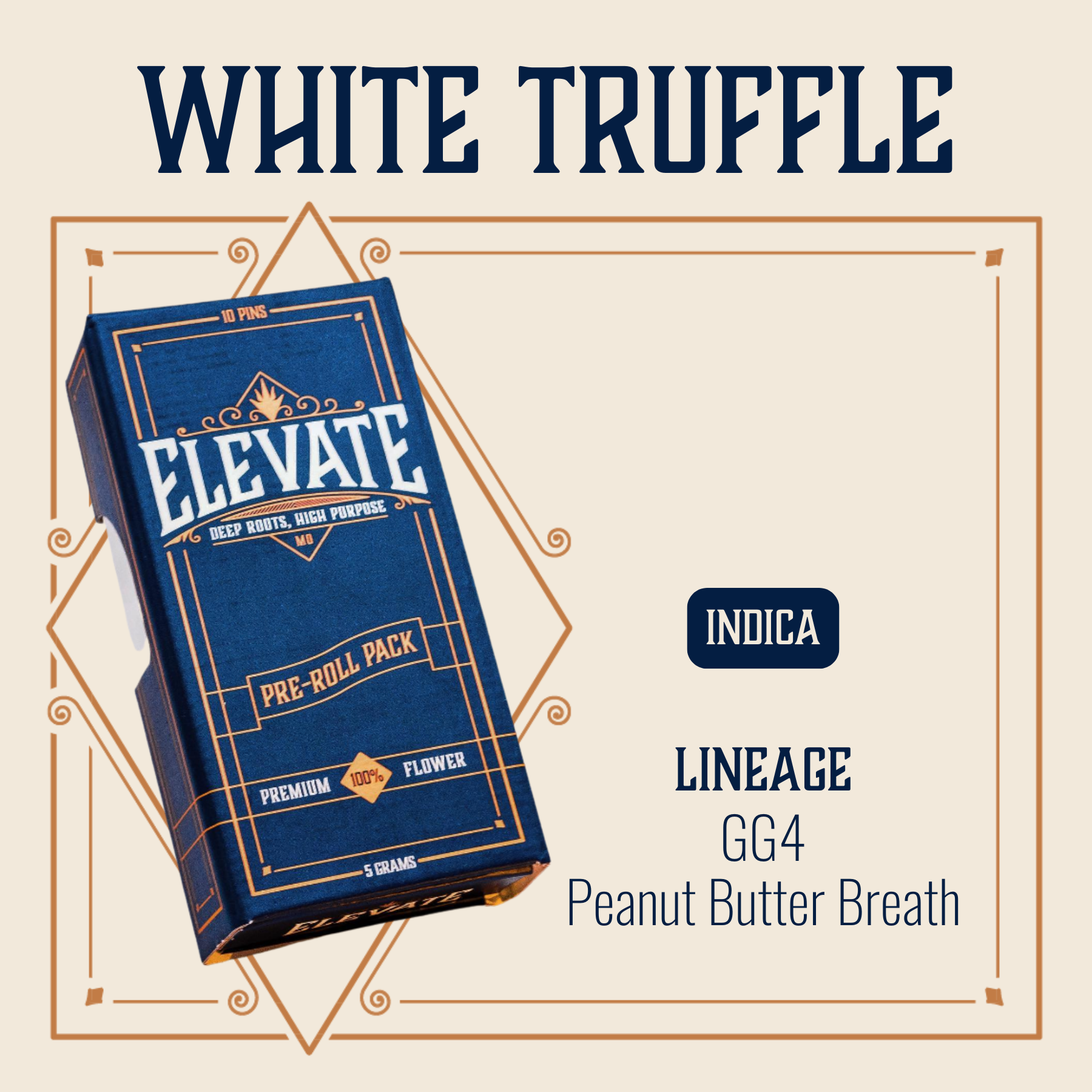 Photograph of product: White Truffle Pins Pre-Roll | 10-pack