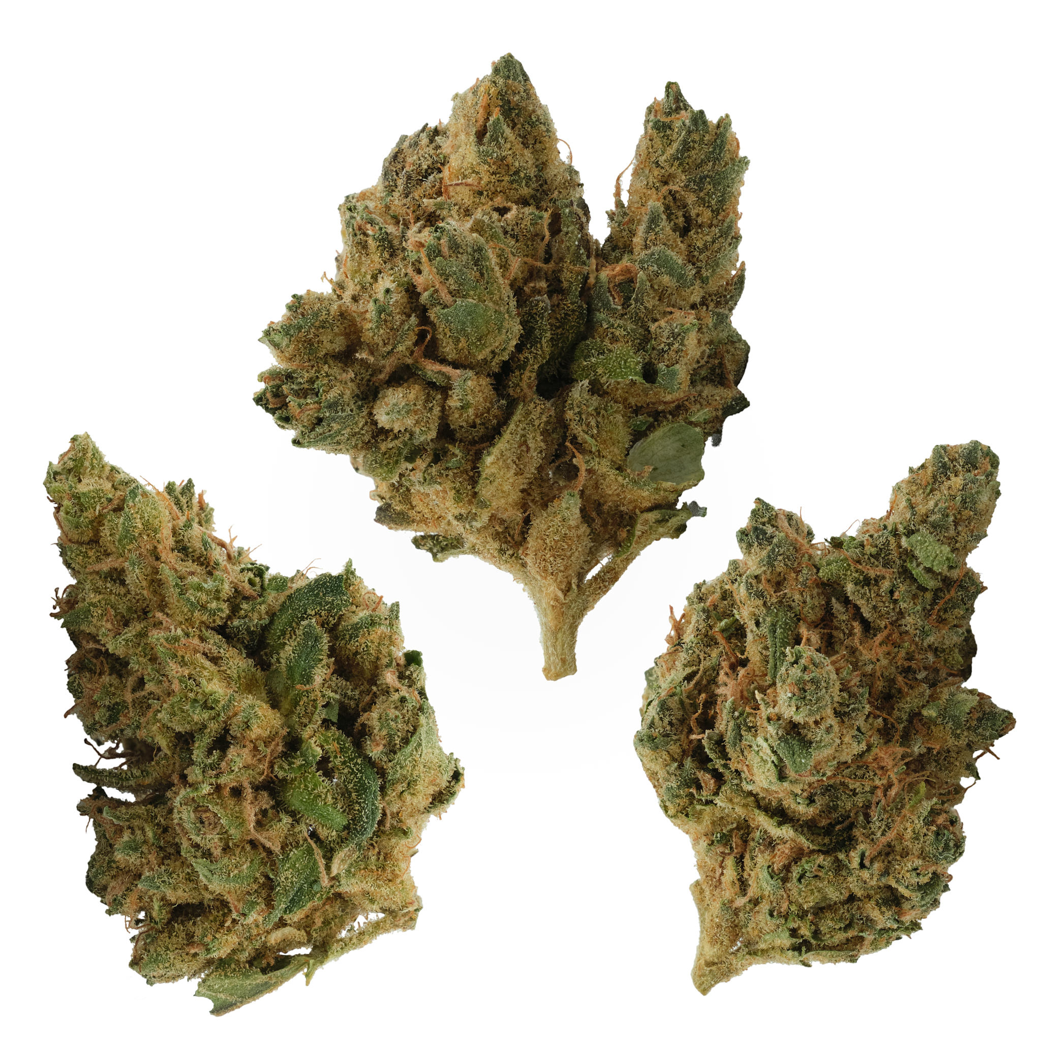 Photograph of product: Muffin Queen - 28g