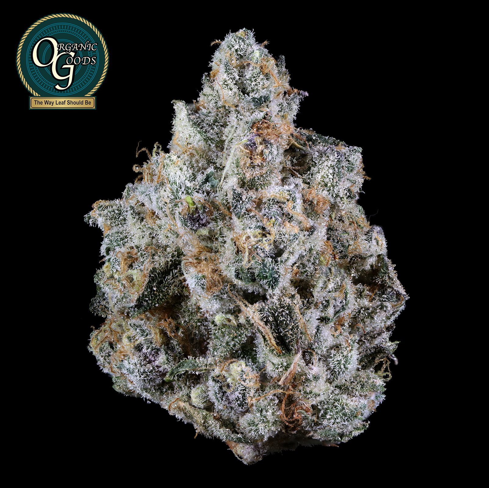Photograph of product: Grapes N Cream cultivated by Current Myth - 28g