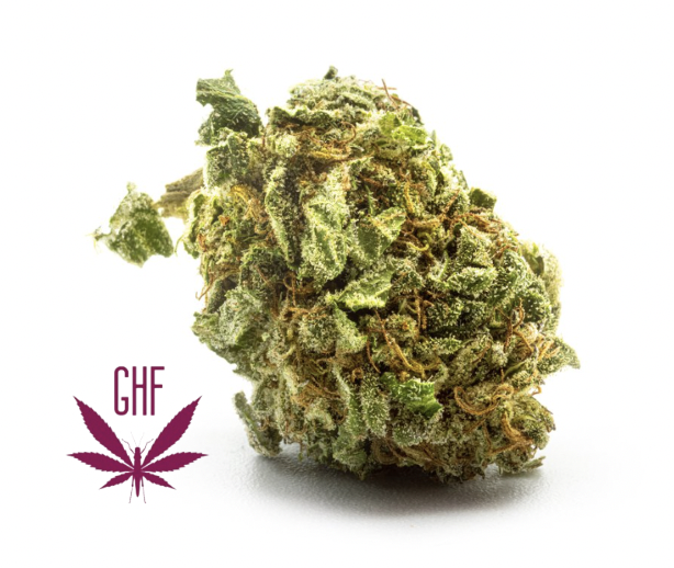 Photograph of product: Gorilla Glue #3 - Flower - 3.5g