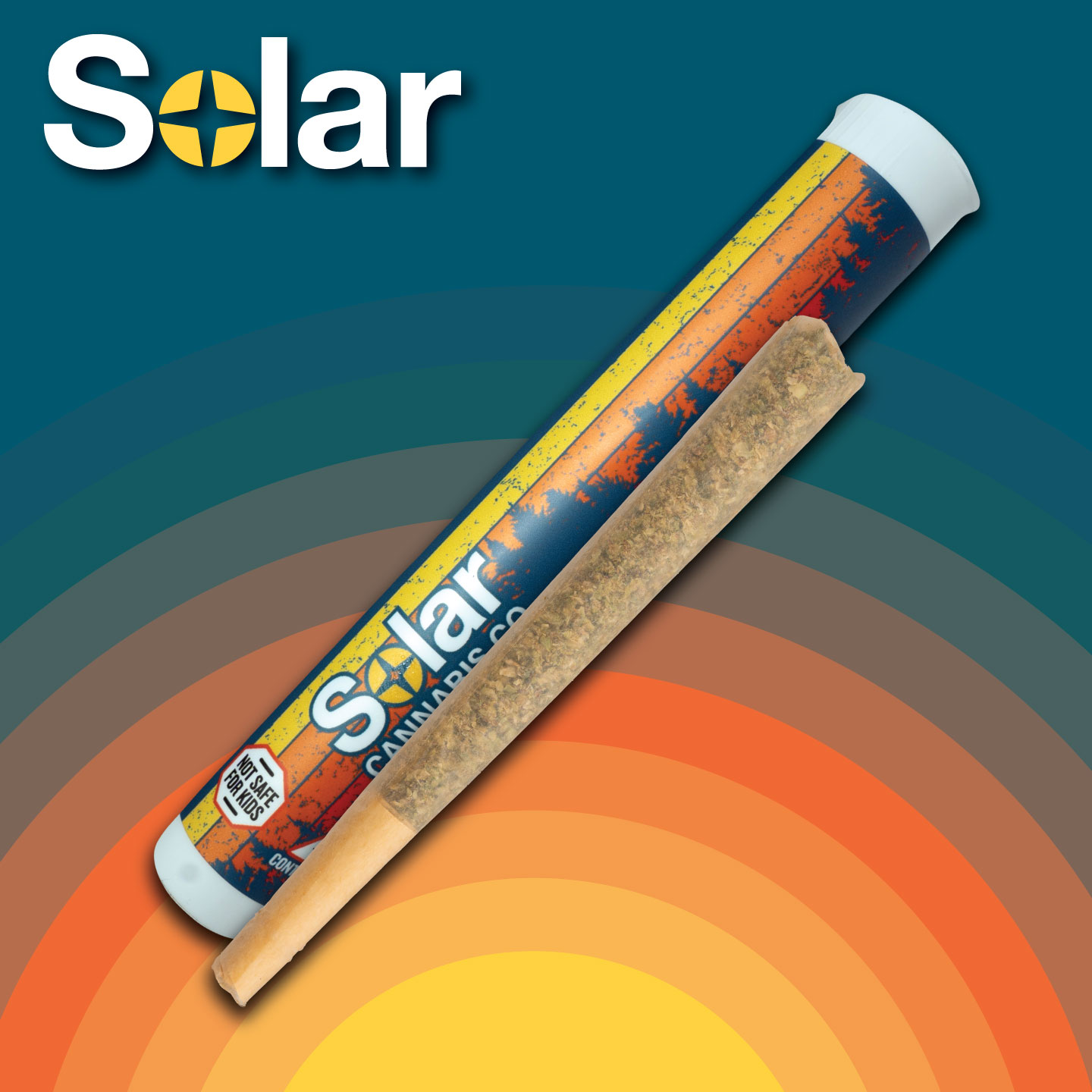 Photograph of product: G.O.A.T Gouda | Solar | 1g