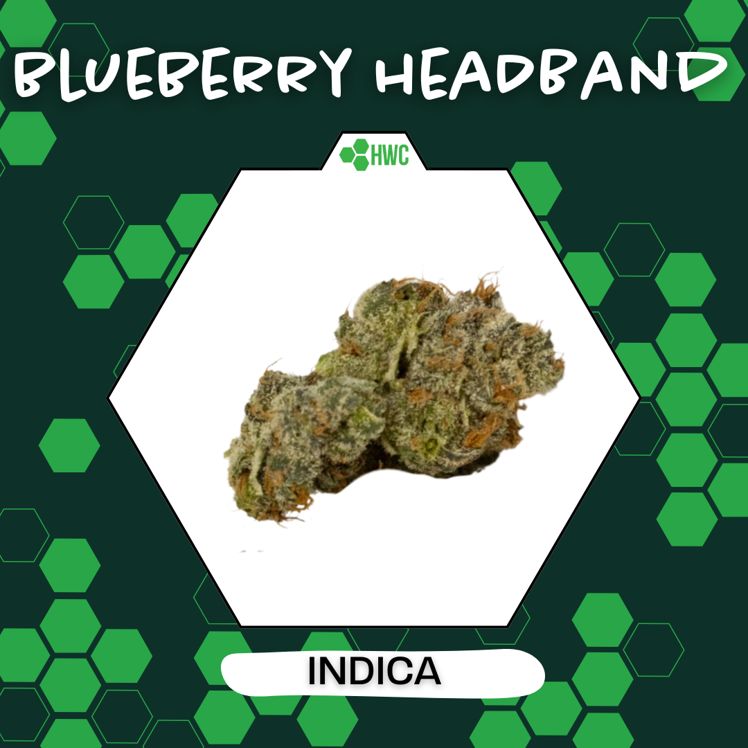 Photograph of product: Herbal Wellness Center - Blueberry Headband (I) - 14.15g