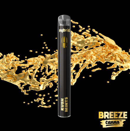 Photograph of product: Breeze Canna - Kush Mints - Live Resin Disposable
