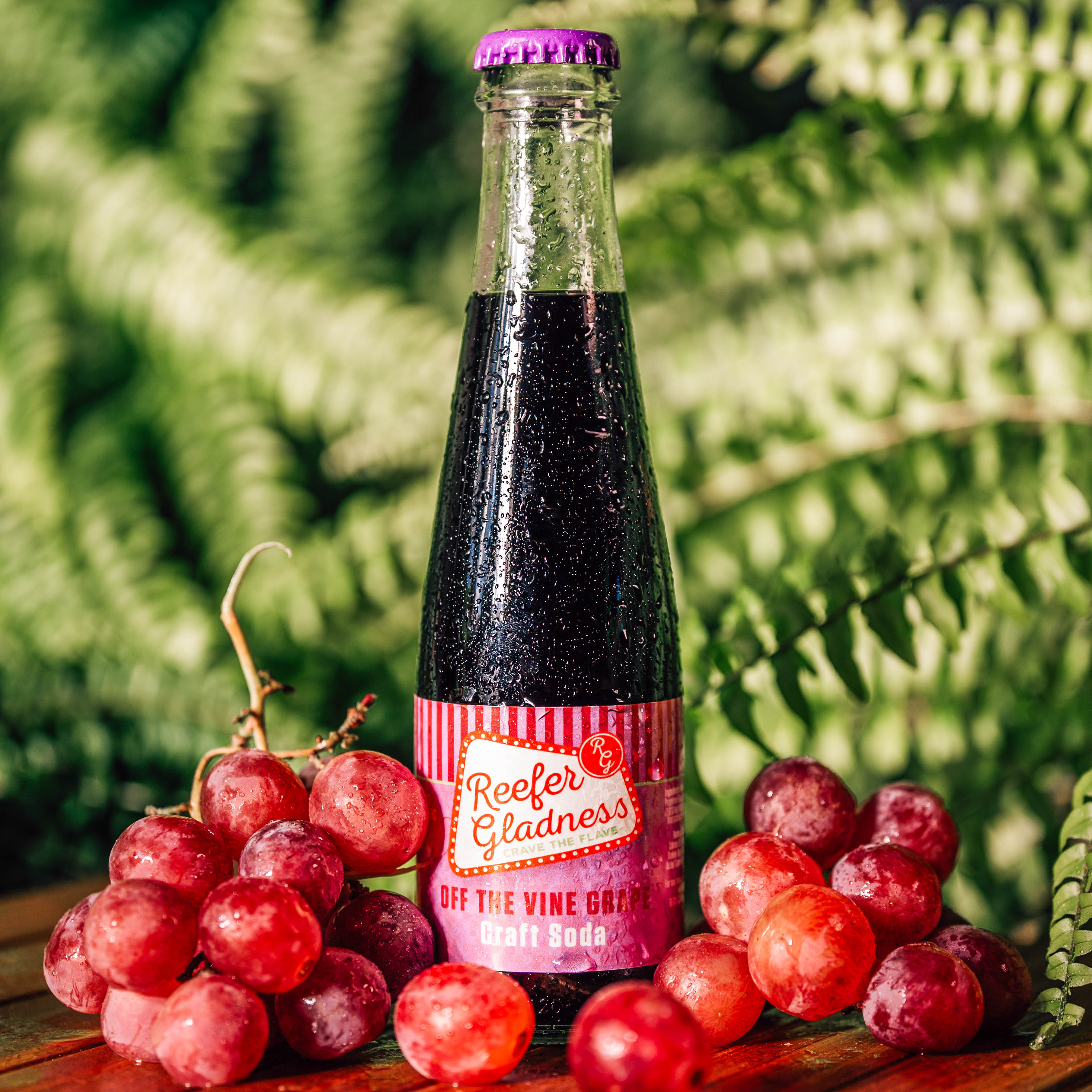 Photograph of product: Grape Soda | 10mg