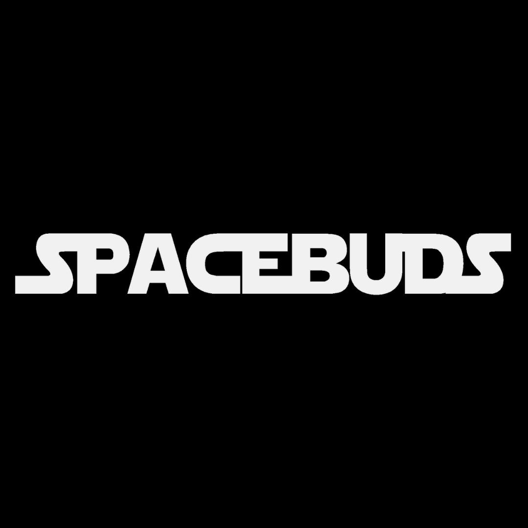 Logo for img-fluid: Spacebuds