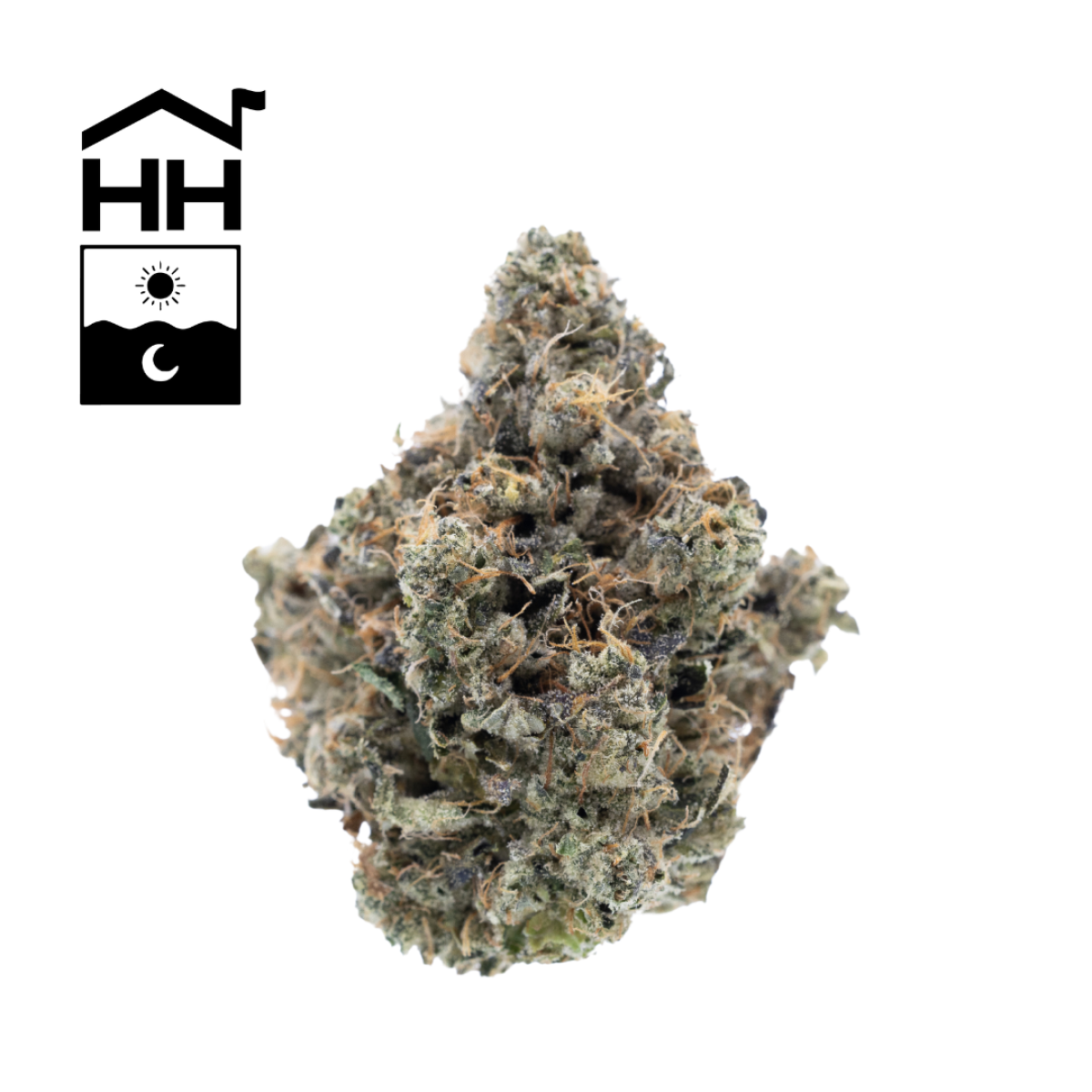 Photograph of product: Orange43 | Flower | - 14g