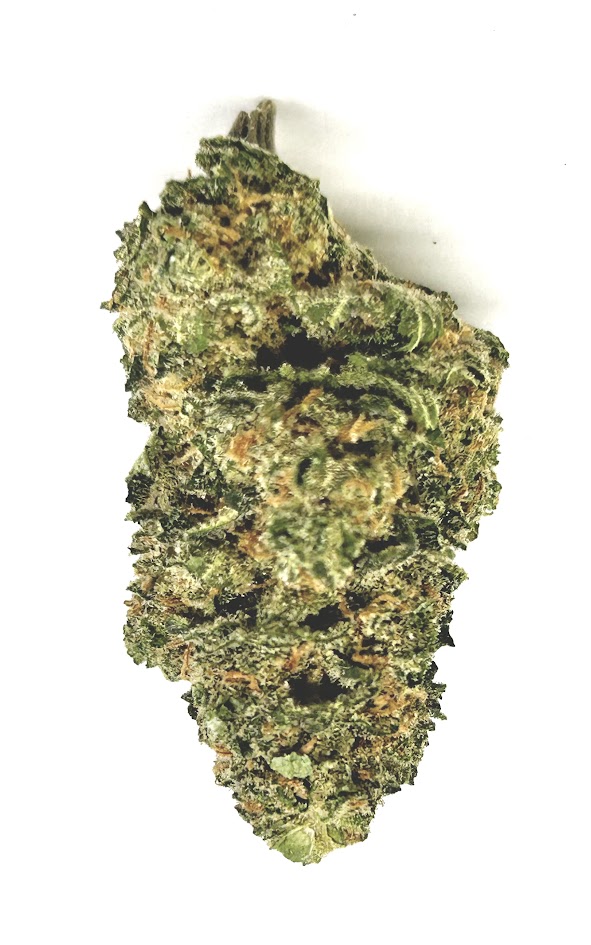 Photograph of product: KNDY - 28g