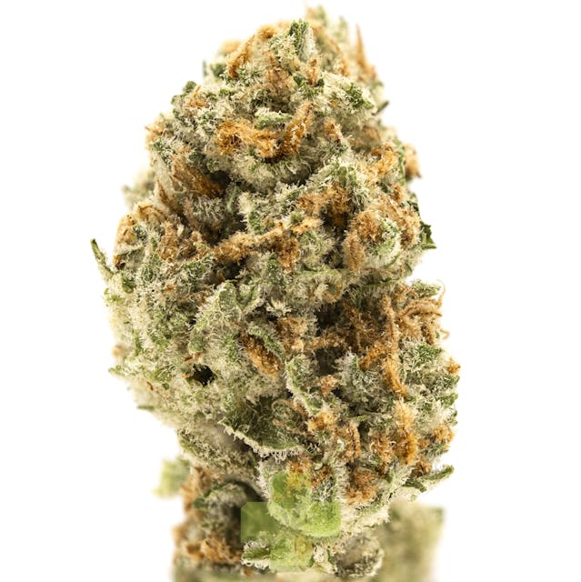 Photograph of product: Blueberry Pancakes, GH - Eighth