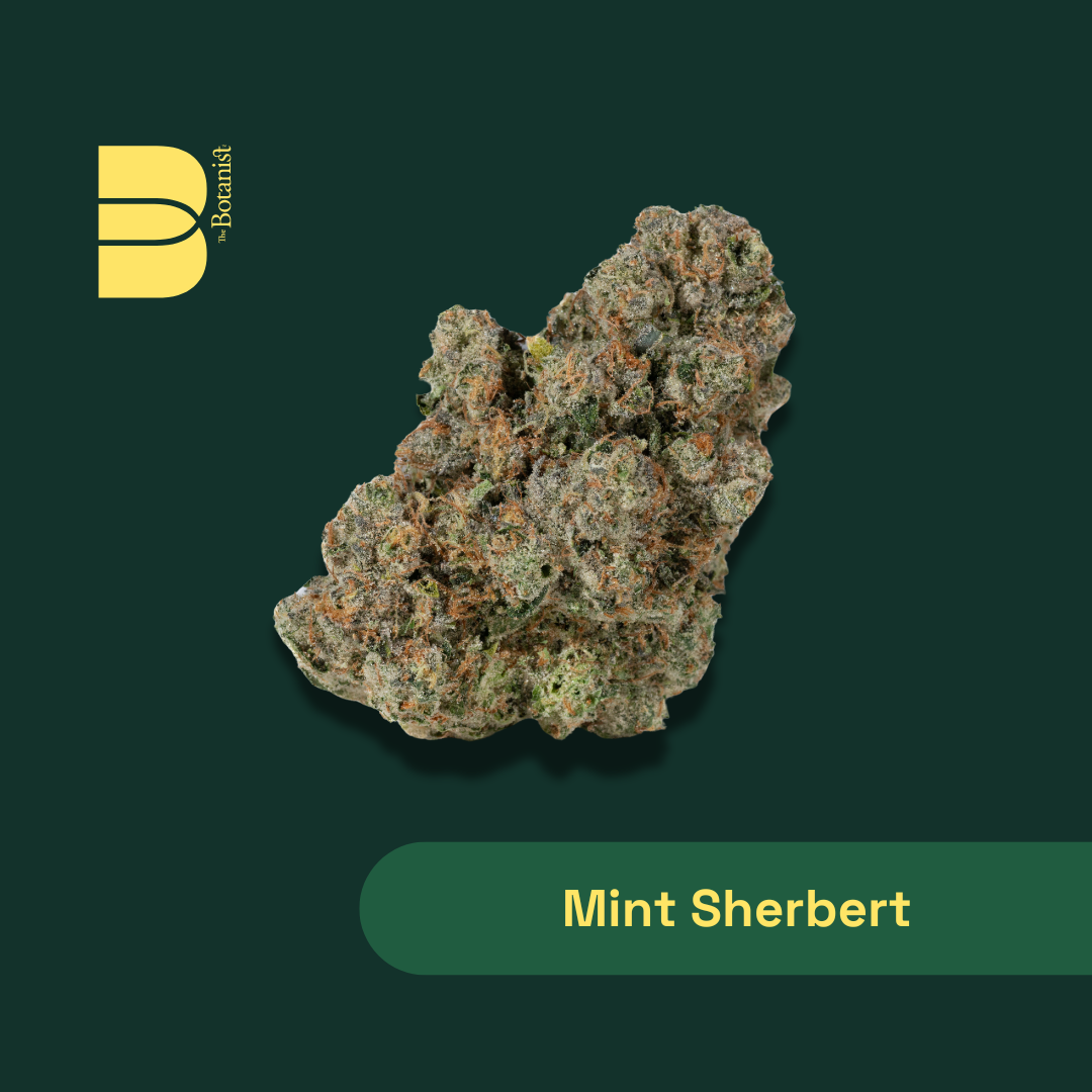 Photograph of product: The Botanist | Mint Sherbert | 3.5g