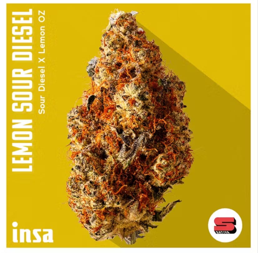 Photograph of product: Lemon Sour Diesel | Flower | - 14g