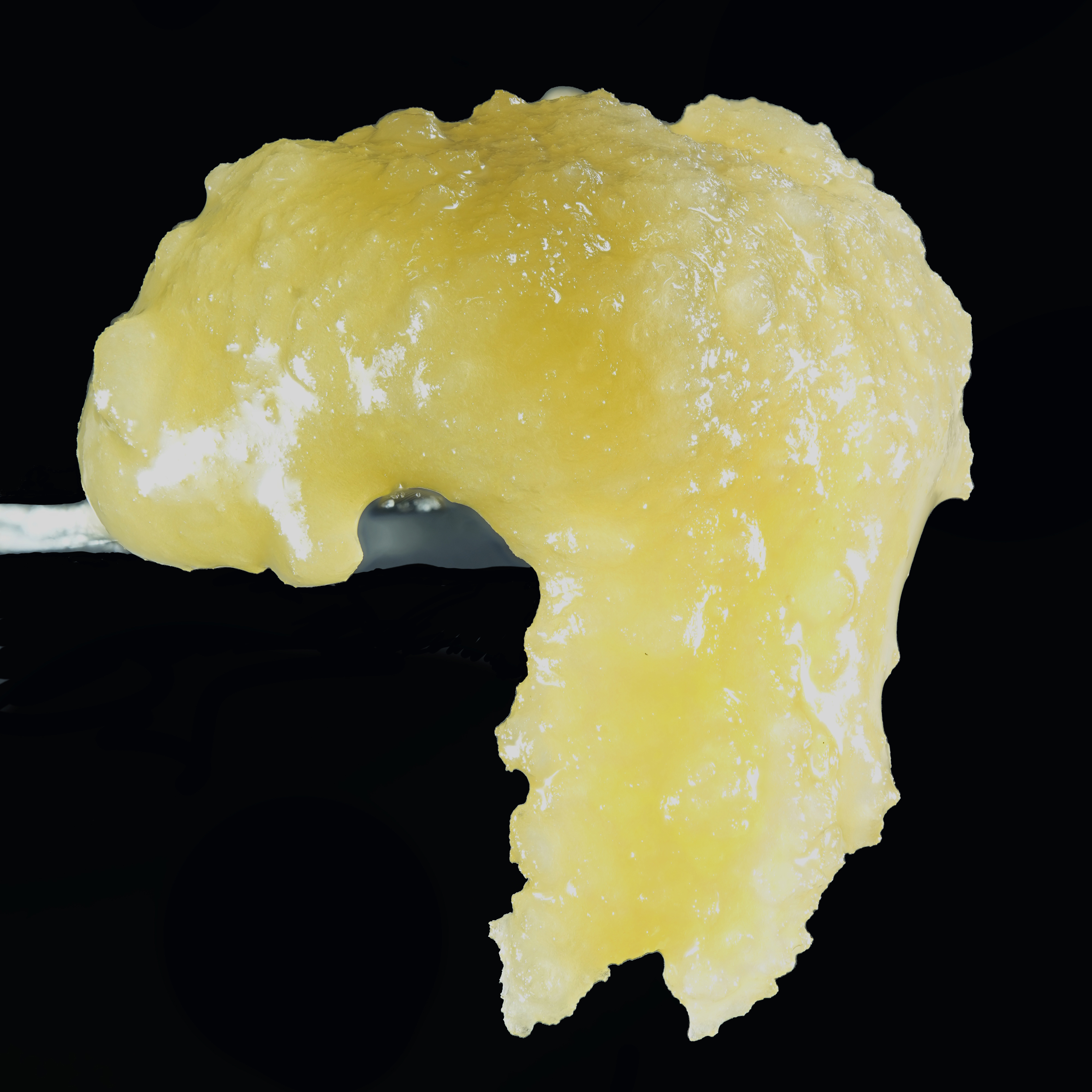 Photograph of product: Wojo - Live Rosin - Skynet