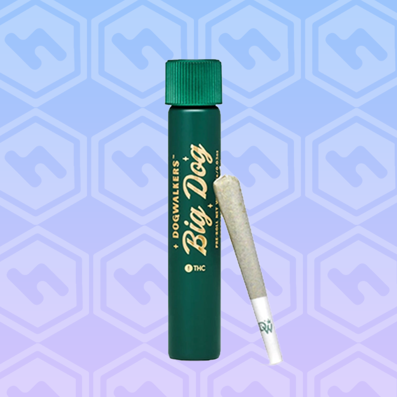 Photograph of product: Kosher Kush Big Show Dog | 1g
