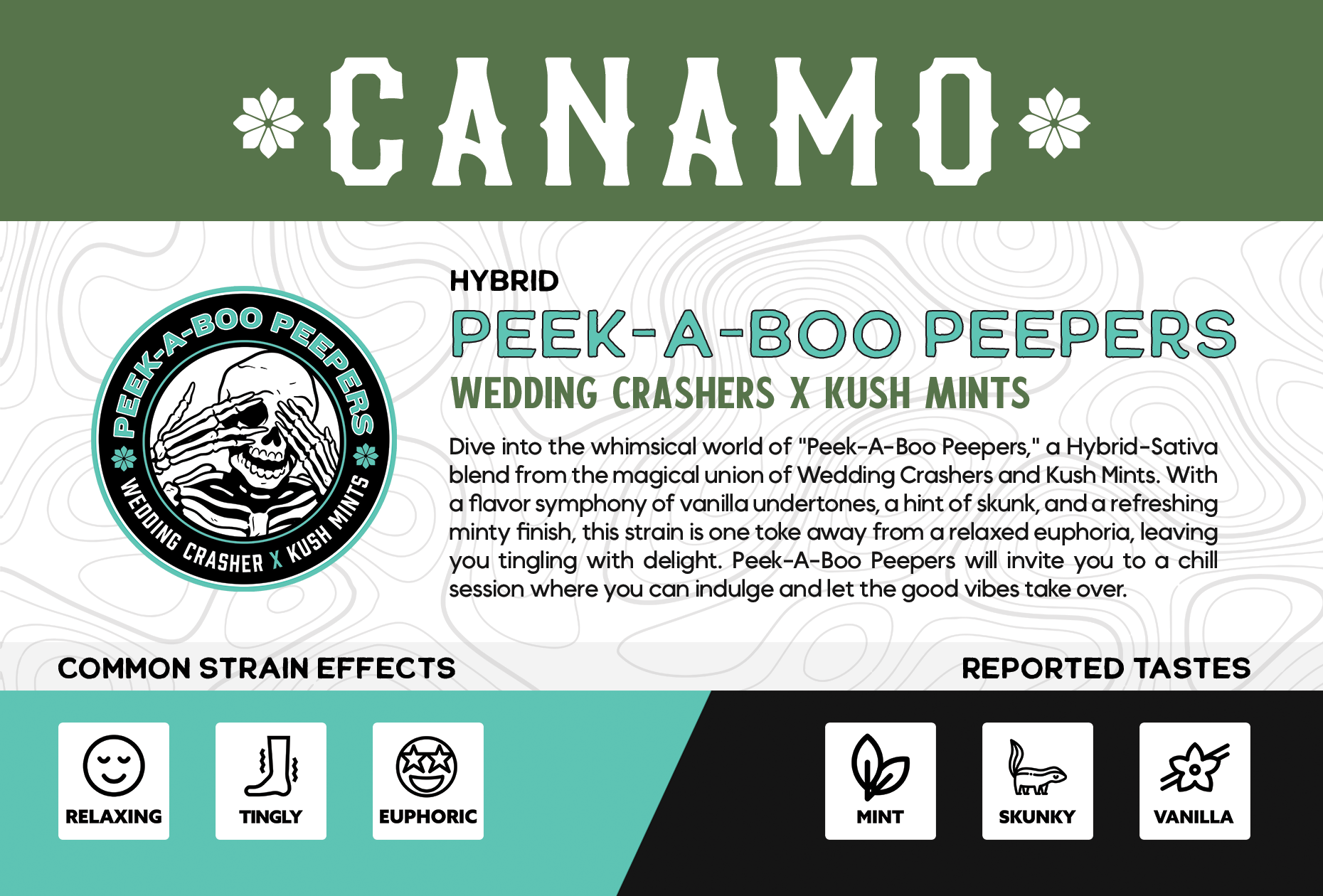 Photograph of product: Peek-a-Boo Peepers | 2.12.25 | FPR | 2 pk | H