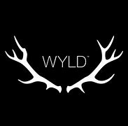 Photograph of product: Wyld - Strawberry 20:1 CBD/TH-oui - HYBRID 10pk