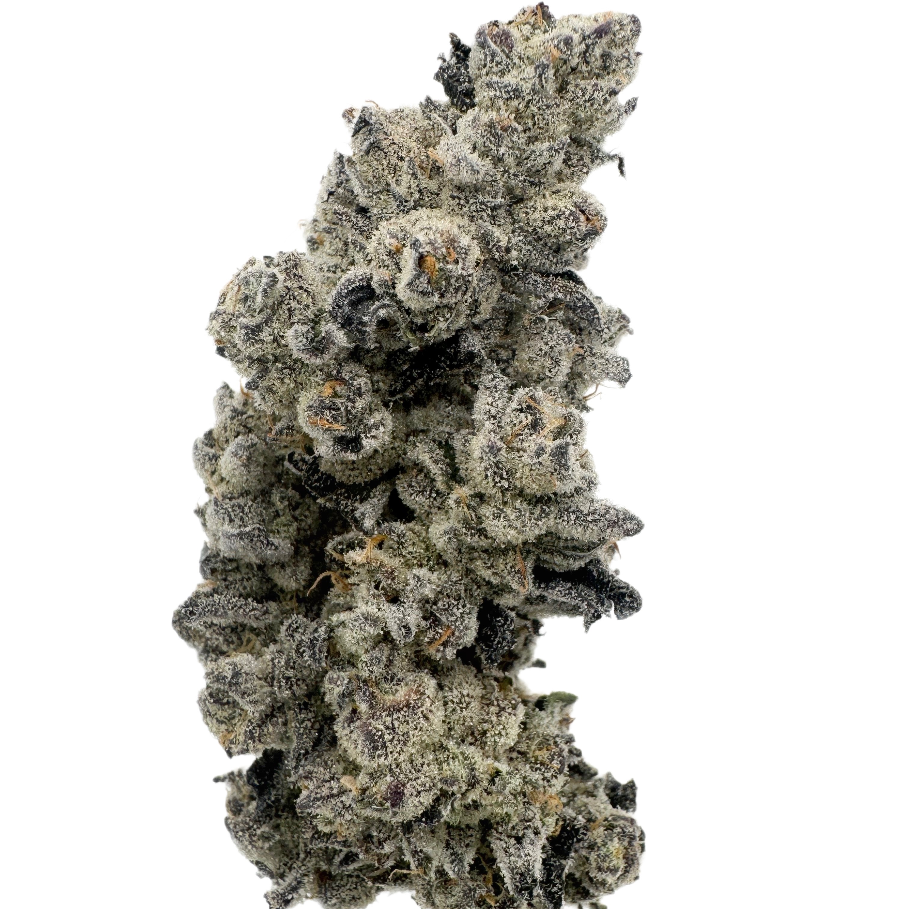 Photograph of product: Motor OG - Diamond Tier - $175 Oz - Urban Canna