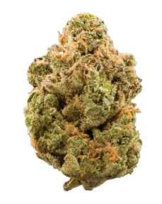 Photograph of product: Dutch Treat - FG - 14g