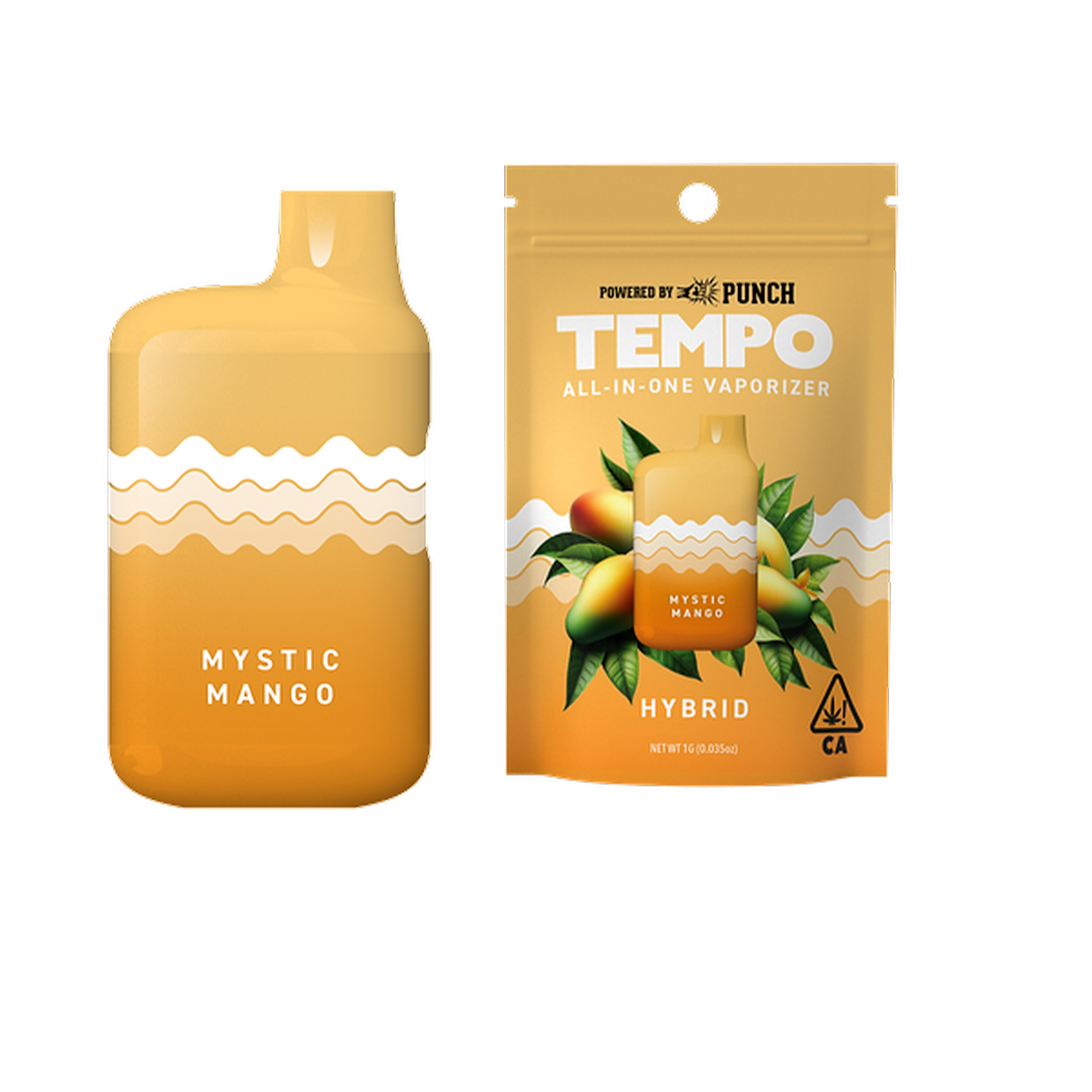 Photograph of product: MYSTIC MANGO | DISPOSABLE | 1G