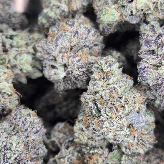 Photograph of product: LA Diamond by Otis