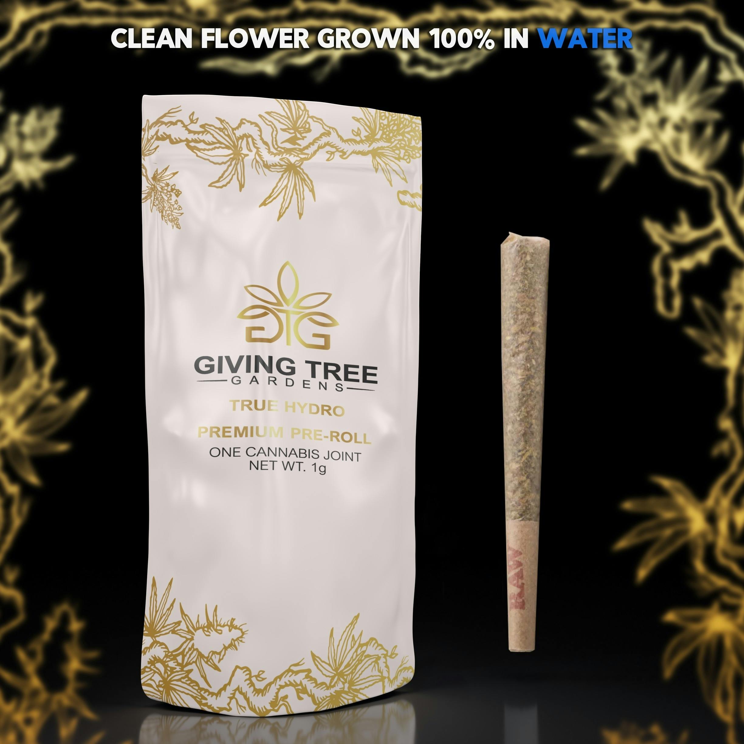 Photograph of product: Orange Tree Pre-Roll