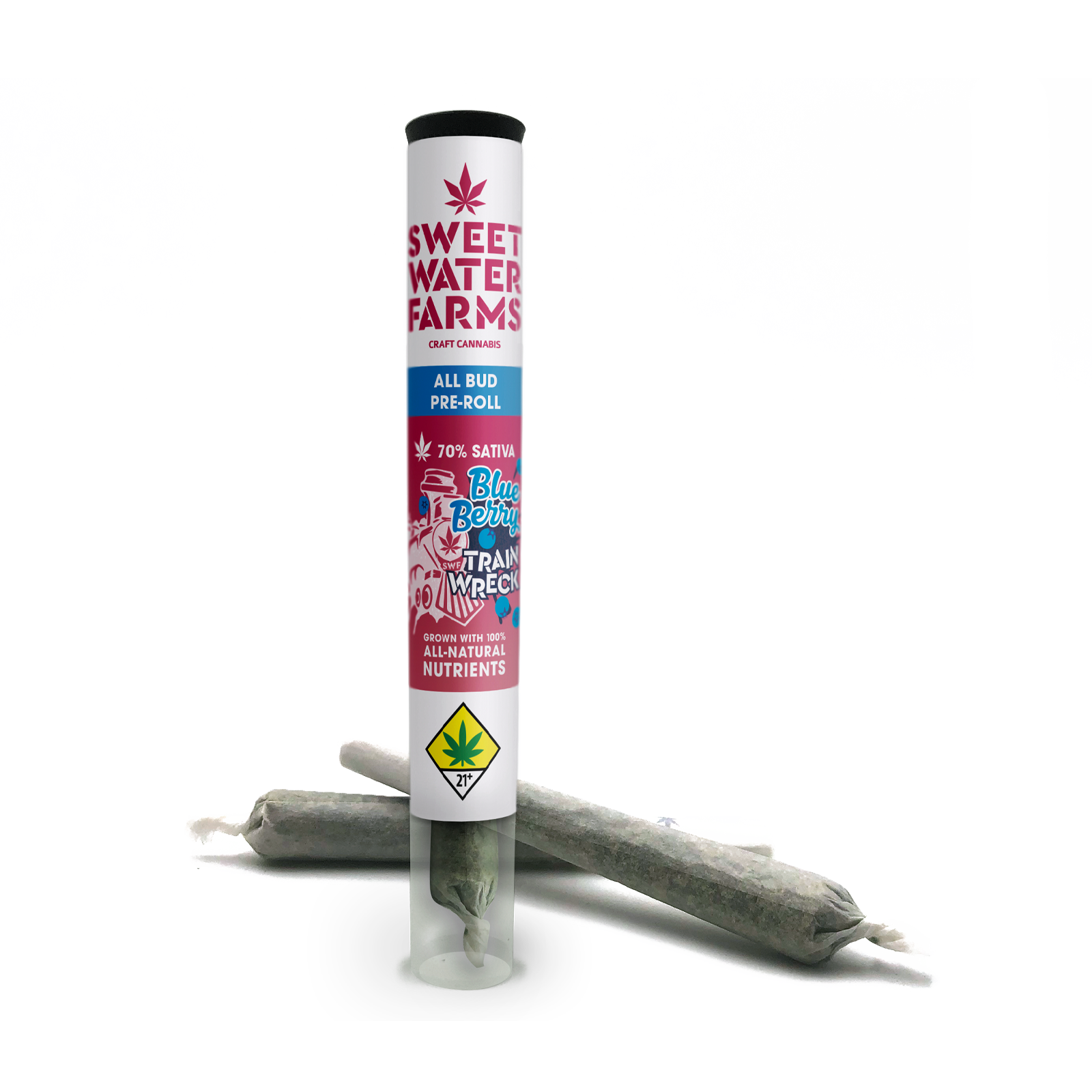 Photograph of product: Blueberry Trainwreck Pre-Roll 2-pack | 1g