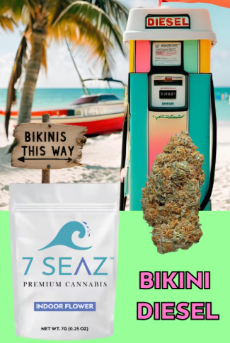 Photograph of product: Bikini Diesel (H) 7 Seaz - 7g