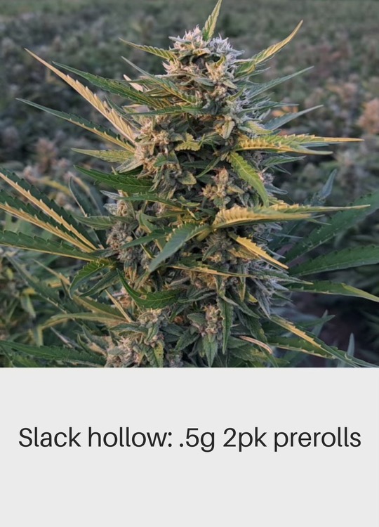 Photograph of product: Slack Hollow Organics |  8pk PreRolls | Humbolt Headband