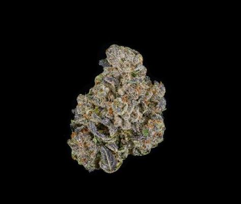 Photograph of product: Biscotti - 3.5g