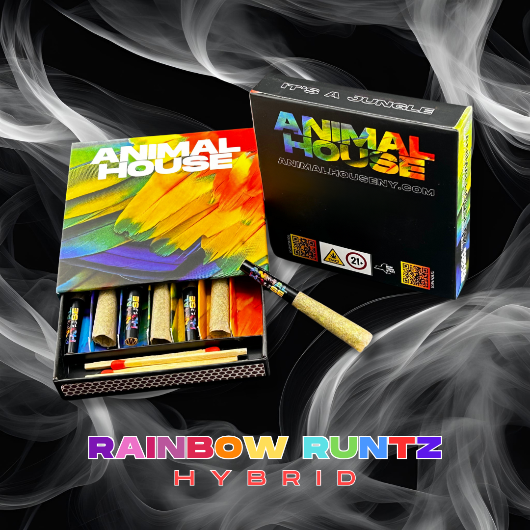 Photograph of product: Animal House | Rainbow Runtz | .5g | 7pk | Kief Infused Preroll