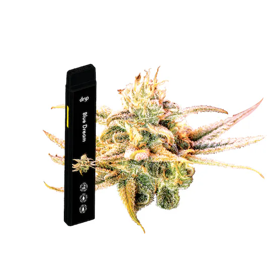 Photograph of product: DRIP | BLUE DREAM - AIO BIG RIPPER Oui'd