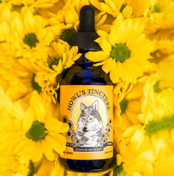 Photograph of product: Howls Daytime | Oui'd | Dragon Glue Tincture | Howls