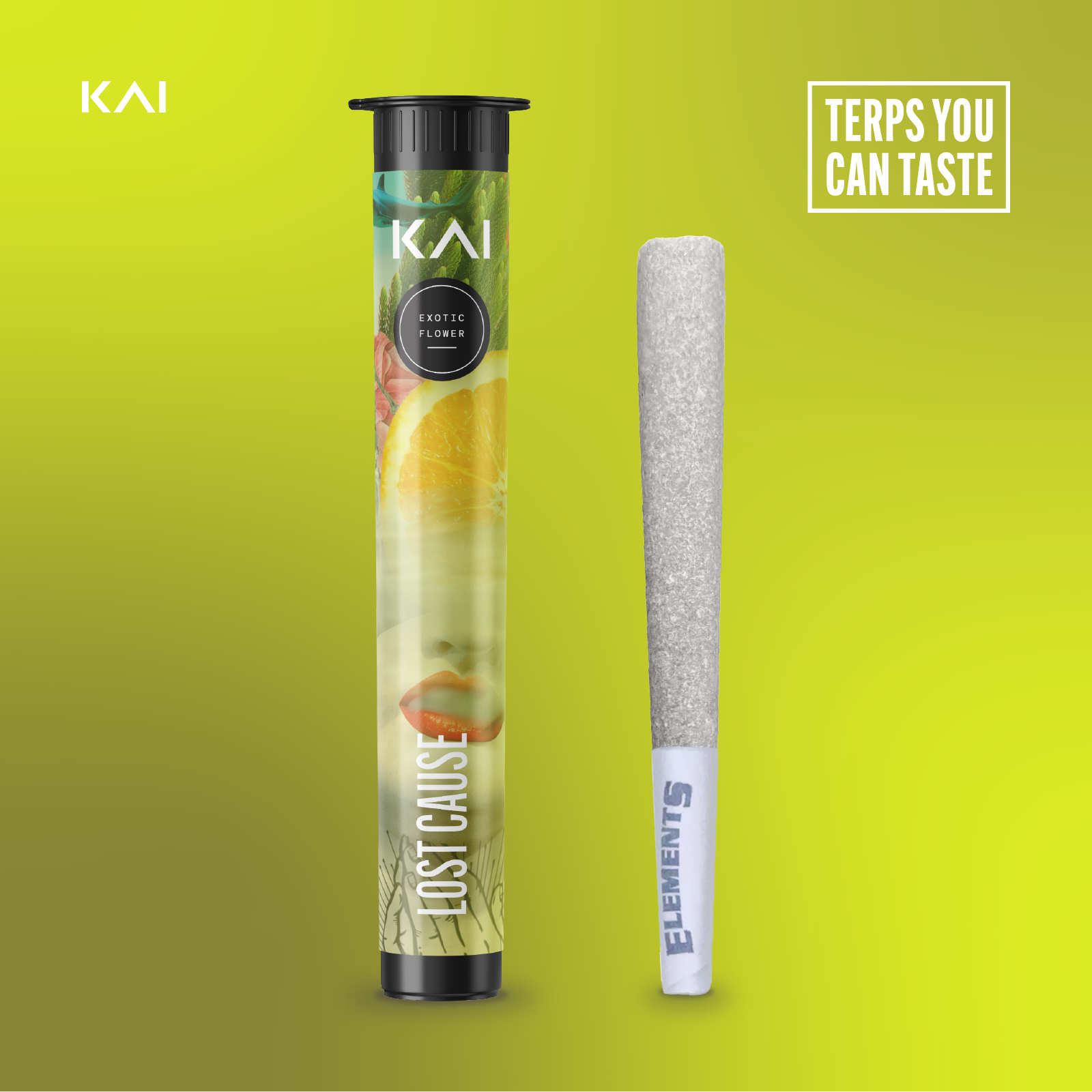Photograph of product: Lost Cause Adult Use