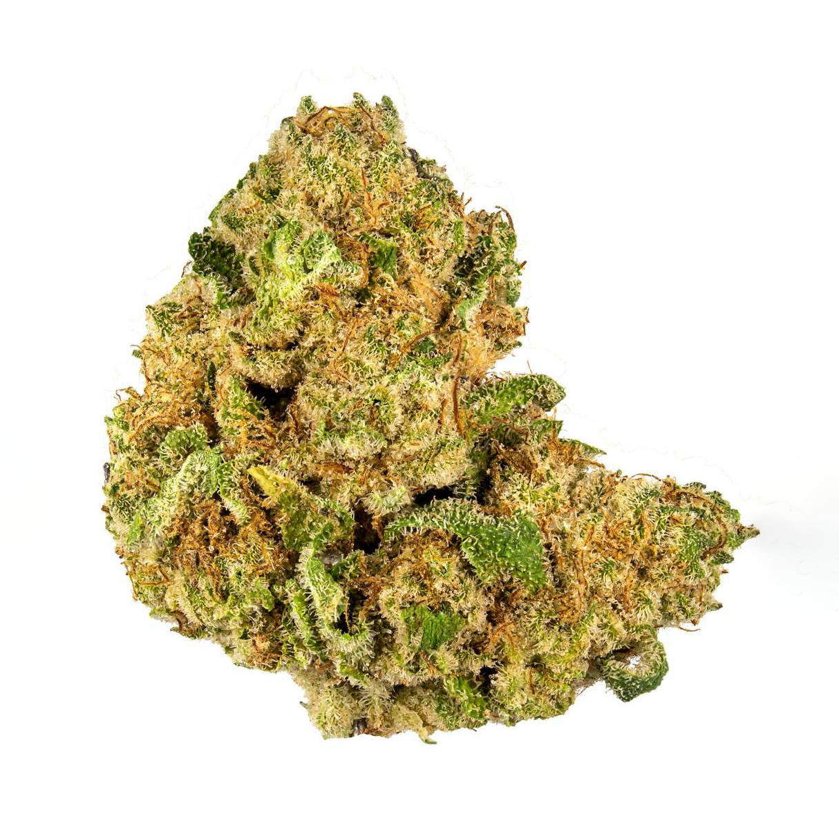 Photograph of product: AMA | Scoby 3.5g