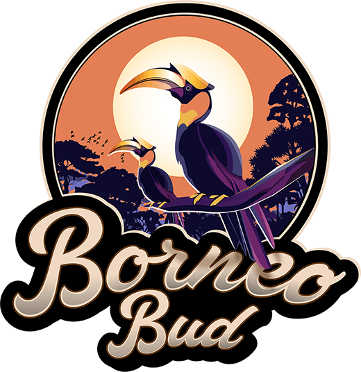 Photograph of product: Borneo Bud | 7g | Rainbow Sherbert #11