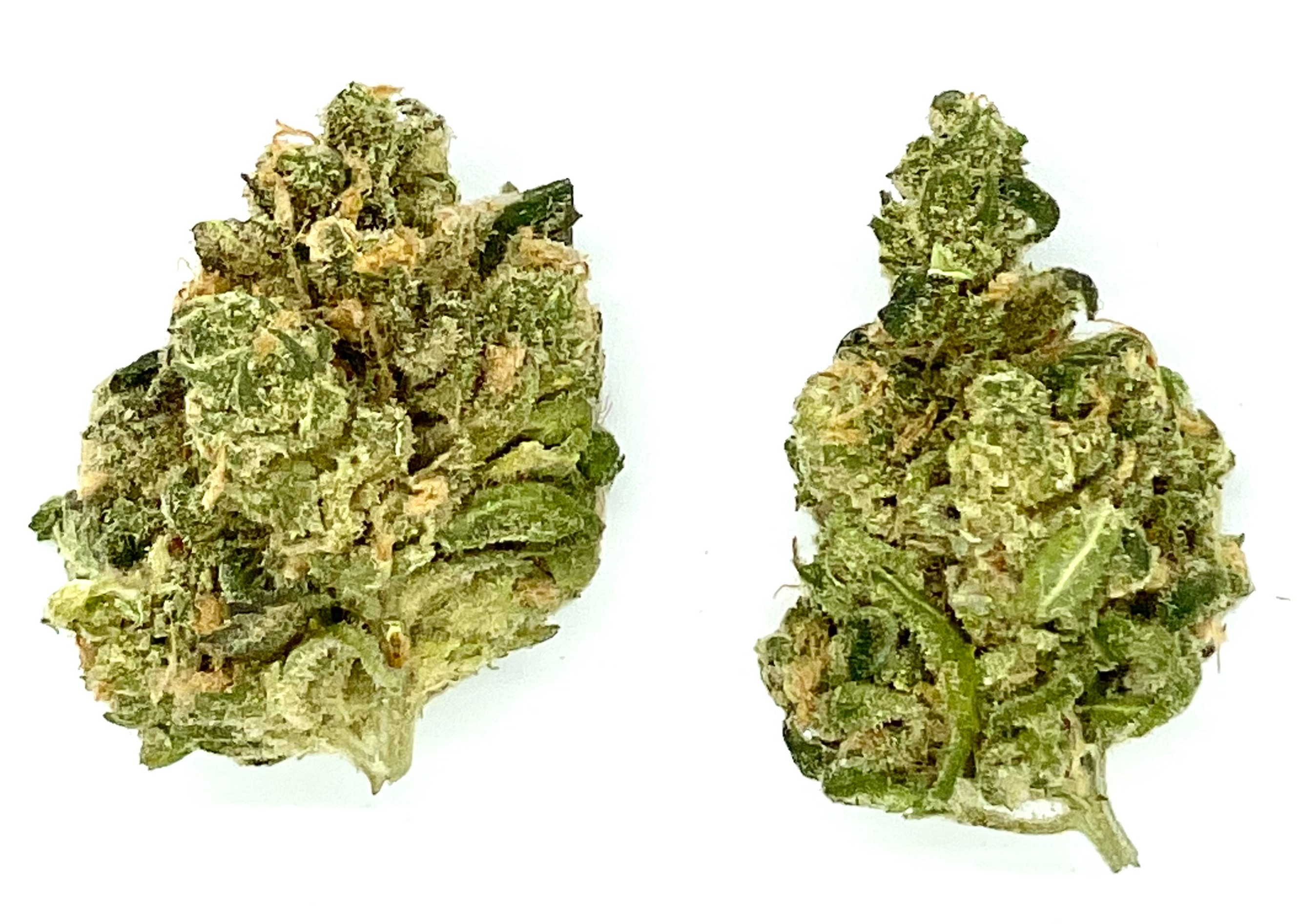 Photograph of product: Buds | Blue Dream - 2g