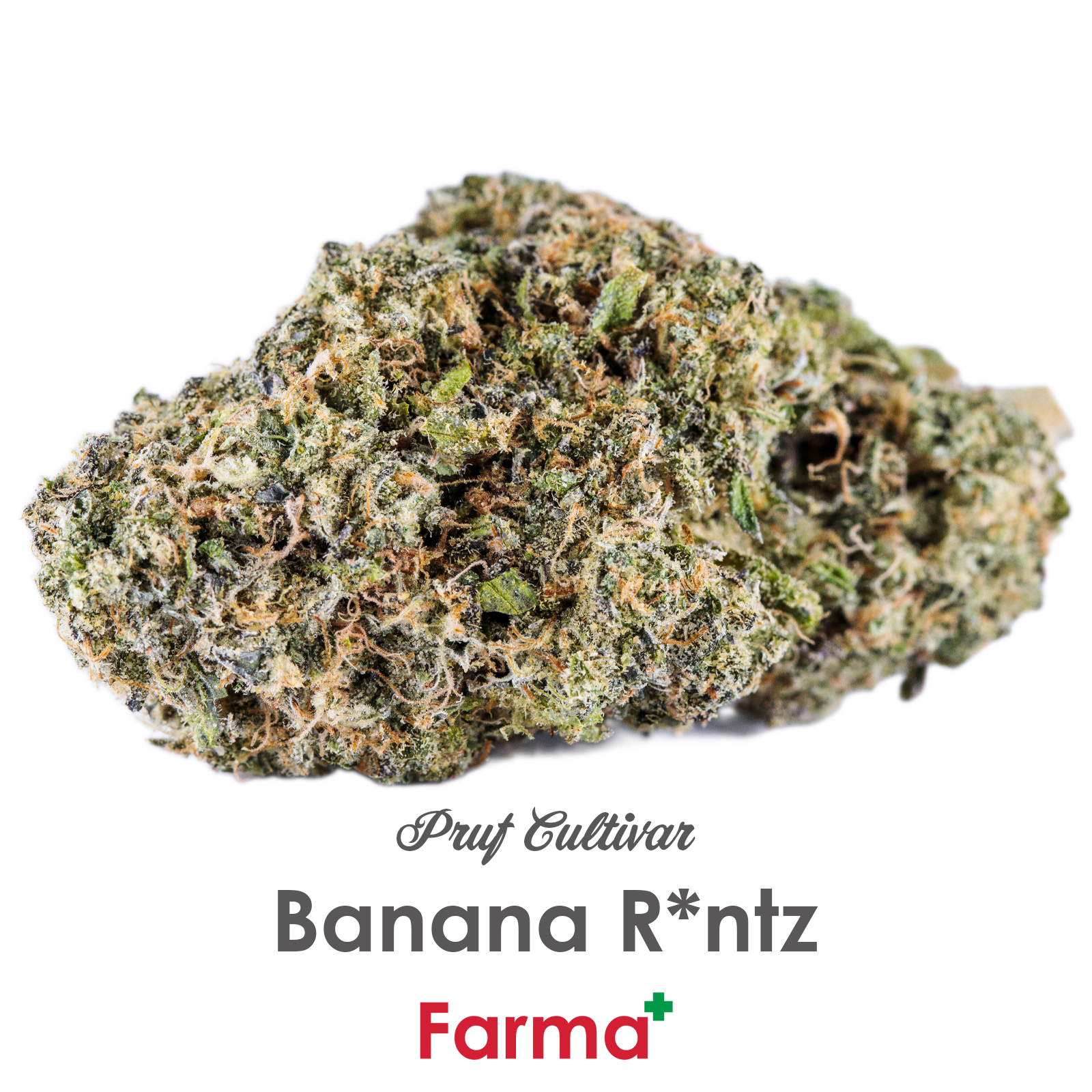 Photograph of product: Pruf Cultivar Banana R*ntz | B - 7g