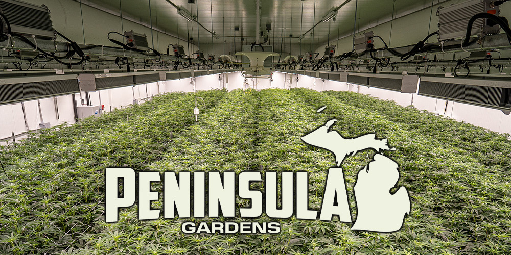 Photograph of Product: PENINSULA GARDENS | PRE PACK SUPER ZMASH - 3.5g