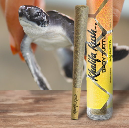 Photograph of product: Pre-roll - Khalifa Kush - Baby Turtle (H) - 1g